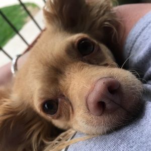 Meet your Posher, Gina